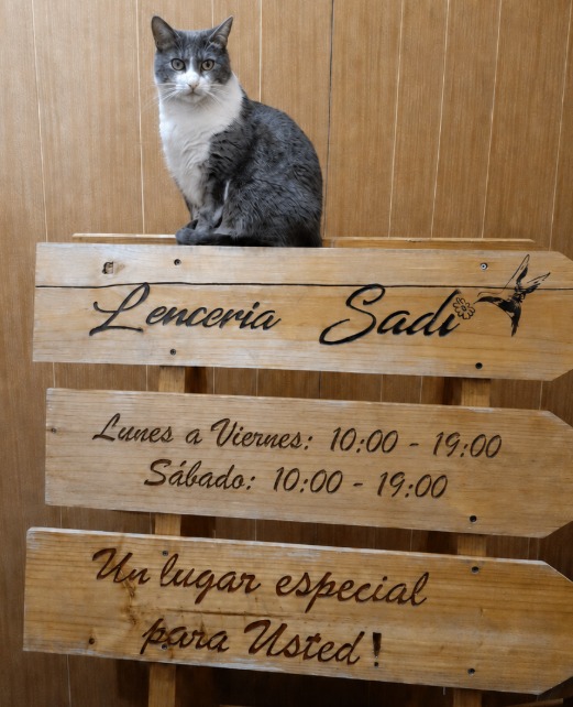 Horario de atención de Lencería Sadi